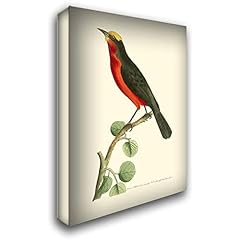 Artdirect crimson birds for sale  Delivered anywhere in USA 