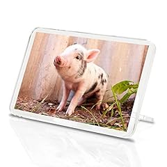 Cute piglet classic for sale  Delivered anywhere in UK