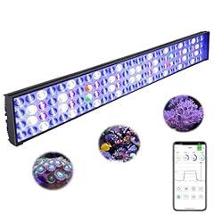 Popbloom watts aquarium for sale  Delivered anywhere in USA 