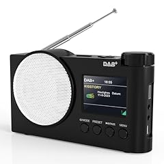 Tragbares dab radio gebraucht kaufen  Wird an jeden Ort in Deutschland