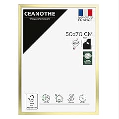 Ceanothe cadre photo d'occasion  Livré partout en France