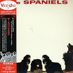 Spaniels for sale  Delivered anywhere in UK