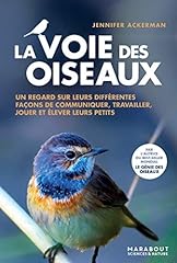 Oiseaux regard d'occasion  Livré partout en France