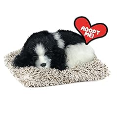 Perfect petzzz minis for sale  Delivered anywhere in USA 