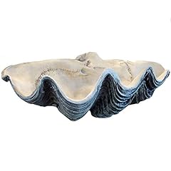 Giant clam shell for sale  Delivered anywhere in USA 