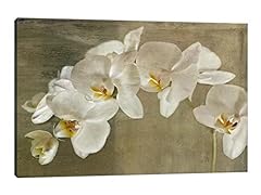 Timuba botanical canvas for sale  Delivered anywhere in USA 