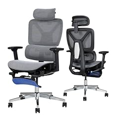 Flexispot ergox sedia usato  Spedito ovunque in Italia 
