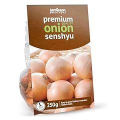 Senshyu winter onion for sale  Delivered anywhere in UK