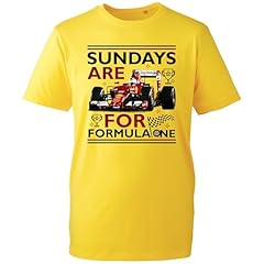 Sundays formul one for sale  Delivered anywhere in UK
