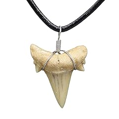Natural shark tooth for sale  Delivered anywhere in USA 