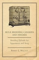 Mule breeding canaries for sale  Delivered anywhere in Ireland
