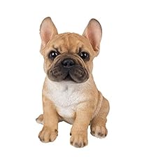 Vivid arts pet usato  Spedito ovunque in Italia 