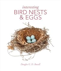 Interesting bird nests for sale  Delivered anywhere in UK
