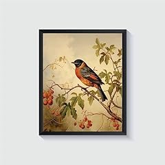 Robin bird vintage for sale  Delivered anywhere in USA 