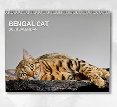 Bengal cat calendar for sale  Delivered anywhere in UK