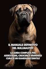 Manuale definitivo del usato  Spedito ovunque in Italia 