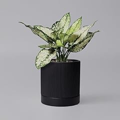 Herduk inch ceramic for sale  Delivered anywhere in USA 