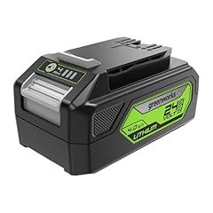 Greenworks batteria 24v usato  Spedito ovunque in Italia 