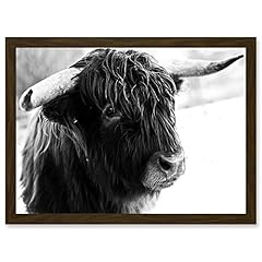 Artery8 highland cow for sale  Delivered anywhere in USA 