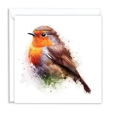 British robin wild for sale  Delivered anywhere in UK
