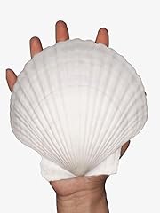 Pengaihong 4pcs large for sale  Delivered anywhere in USA 
