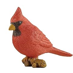 Jfsm inc. cardinal for sale  Delivered anywhere in USA 