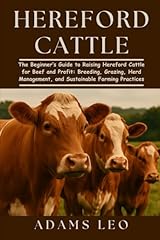 Hereford cattle beginner for sale  Delivered anywhere in USA 