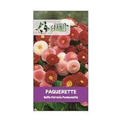 500 graines fleurs d'occasion  Livré partout en France