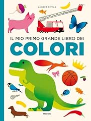 Mio primo grande usato  Spedito ovunque in Italia 