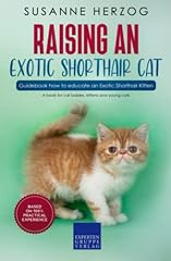 Raising exotic shorthair usato  Spedito ovunque in Italia 