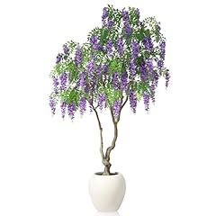 Soguyi blooming wisteria for sale  Delivered anywhere in UK