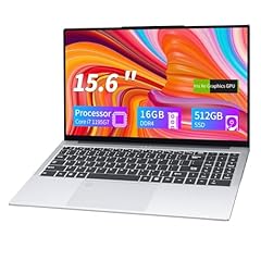 Rumlawn 15.6 inch usato  Spedito ovunque in Italia 