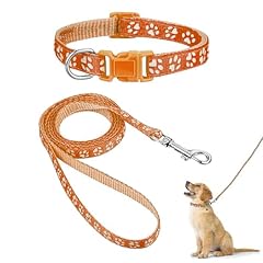 Hundehalsband leinen set gebraucht kaufen  Wird an jeden Ort in Deutschland