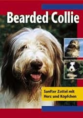 Bearded collie sanfter gebraucht kaufen  Wird an jeden Ort in Deutschland