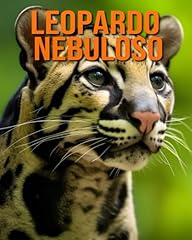 Leopardo nebuloso fatti usato  Spedito ovunque in Italia 