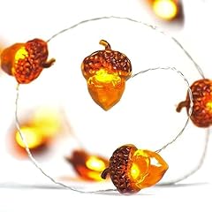 Eicheln lichterkette herbst gebraucht kaufen  Wird an jeden Ort in Deutschland