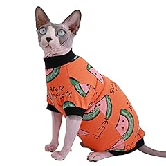 Sphynx hairless cat for sale  Delivered anywhere in USA 
