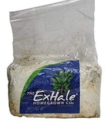 City hydroponics exhale for sale  Delivered anywhere in Ireland