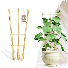 Avalution pack bamboo for sale  Delivered anywhere in USA 