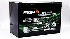 Batteria rofiba rfb usato  Spedito ovunque in Italia 