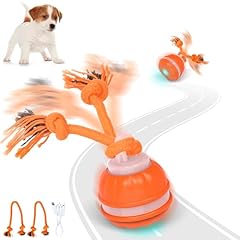 Iokheira dog ball for sale  Delivered anywhere in UK