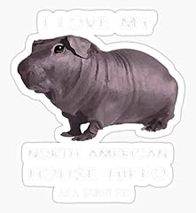 Love house hippo for sale  Delivered anywhere in USA 