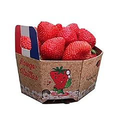 Fraise ronde barquette d'occasion  Livré partout en France