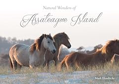 Natural wonders assateague for sale  Delivered anywhere in USA 