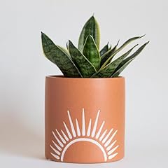 Sun decor planter for sale  Delivered anywhere in USA 