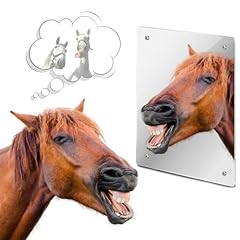 Sukh horse mirror for sale  Delivered anywhere in USA 