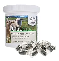 Ultracruz 394507 sheep for sale  Delivered anywhere in USA 