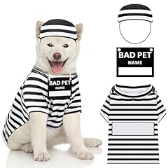 Shihanee funny dog for sale  Delivered anywhere in USA 