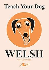 Teach dog welsh for sale  Delivered anywhere in UK
