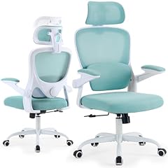 Estevo ergonomic office for sale  Delivered anywhere in USA 